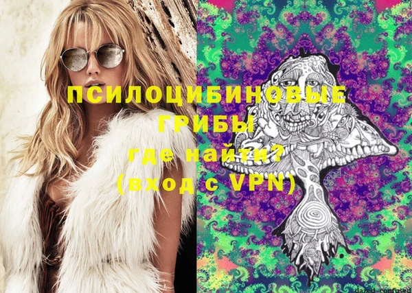 стафф Баксан
