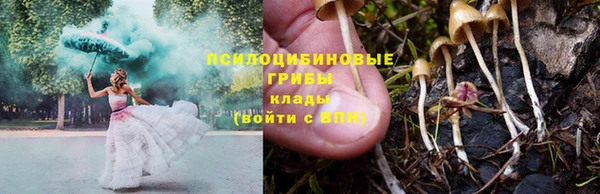 стафф Баксан