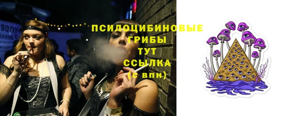 стафф Баксан