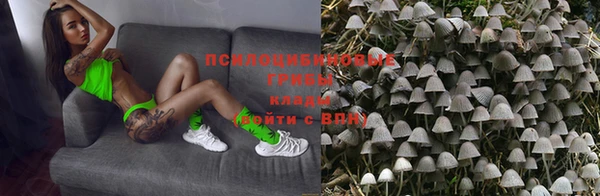 амф Балахна