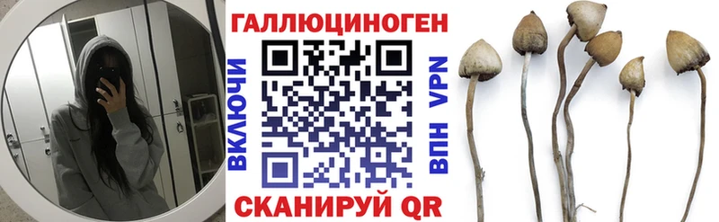 Галлюциногенные грибы мицелий  Шарья 